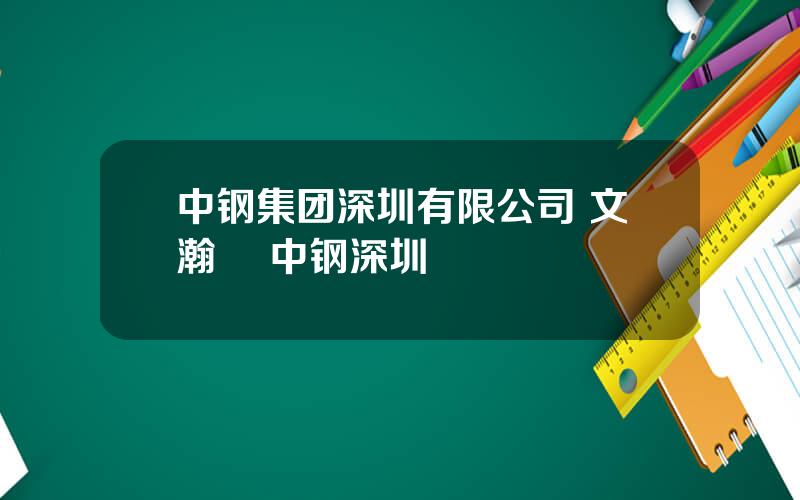 中钢集团深圳有限公司 文瀚旻 中钢深圳